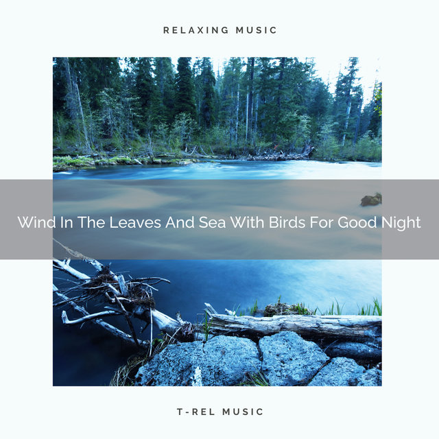 Wind In The Leaves And Sea With Birds For Good Night