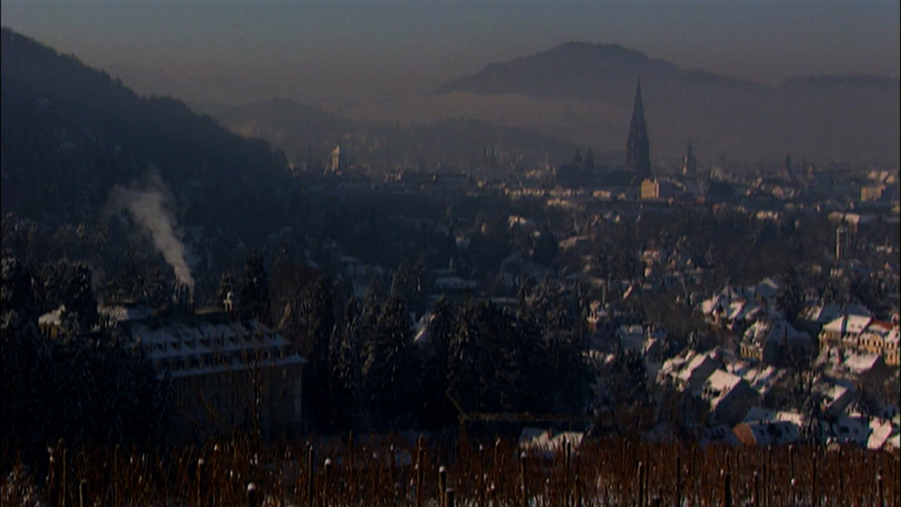 J.S. Bach: Concerto in D Major, BWV 972 (After Vivaldi, RV 230) - 1. Allegro