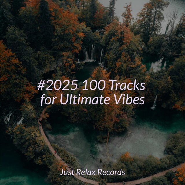 #2025 100 Tracks for Ultimate Vibes