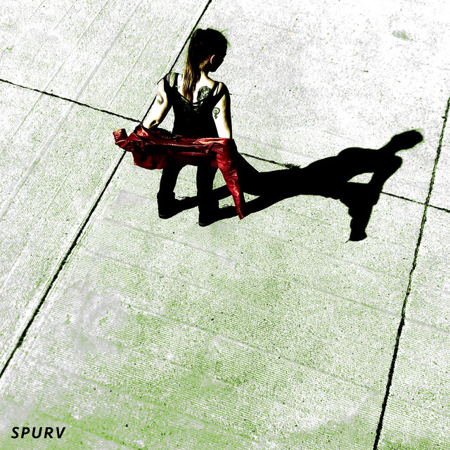 Spurv