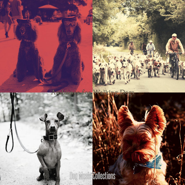 Ambiance for Walking Dogs