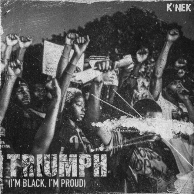 Triumph (I'm Black, I'm Proud)