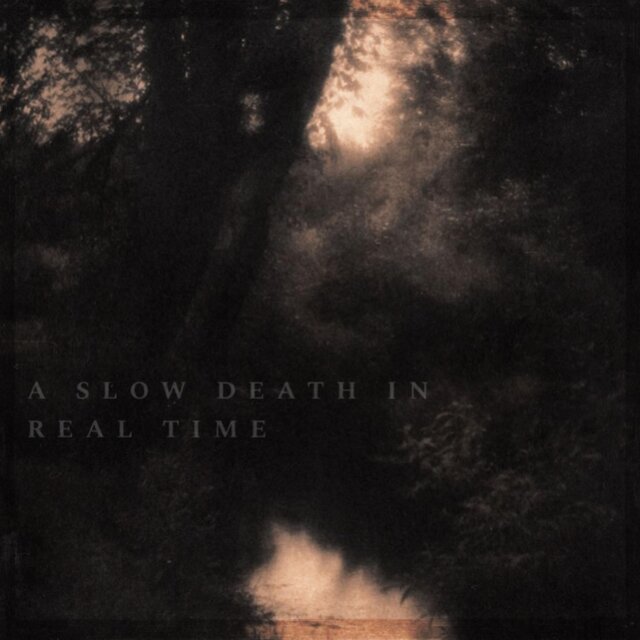 A Slow Death In Real Time