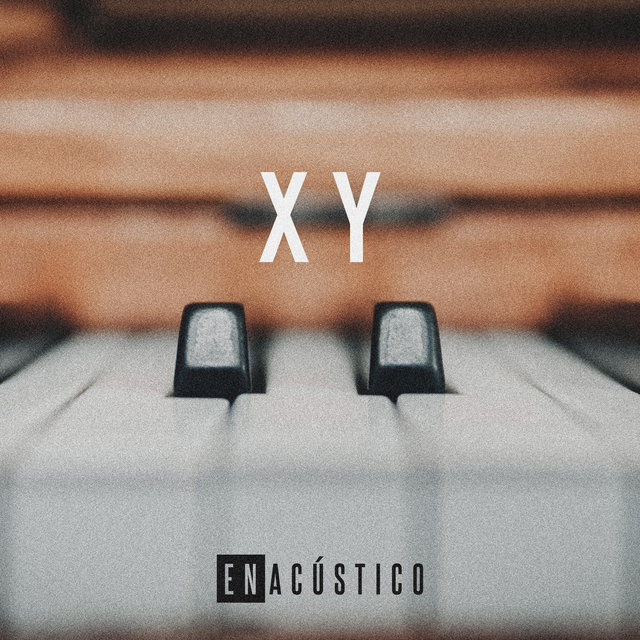 X Y