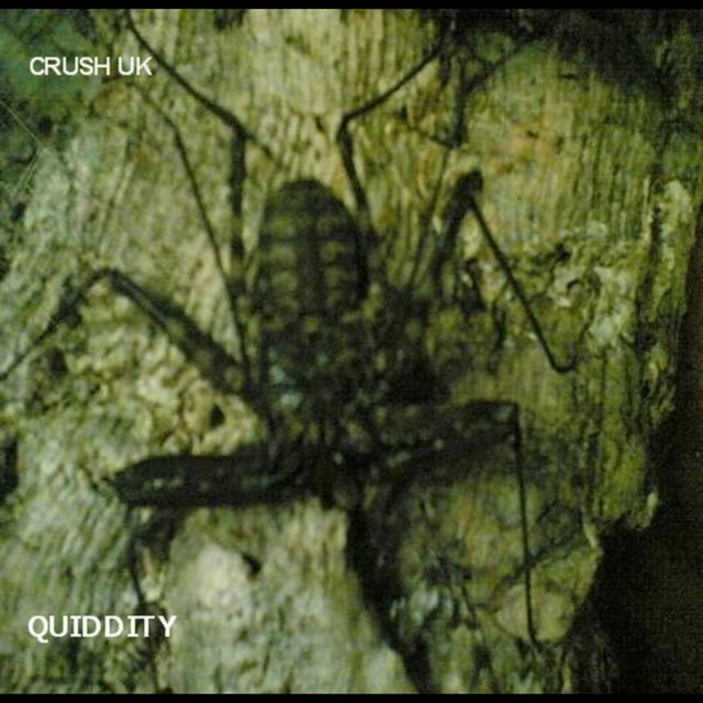 Quiddity