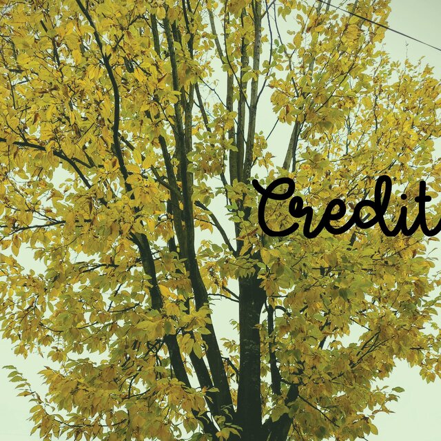 Credit