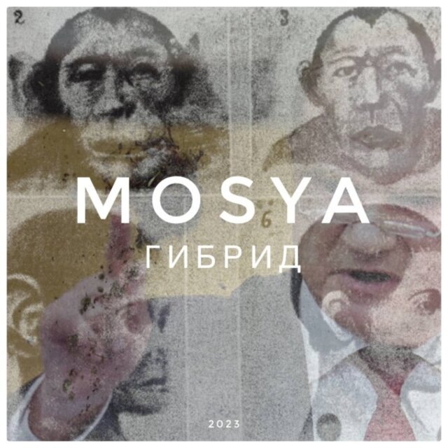 Гибрид