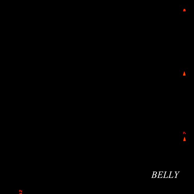 Belly