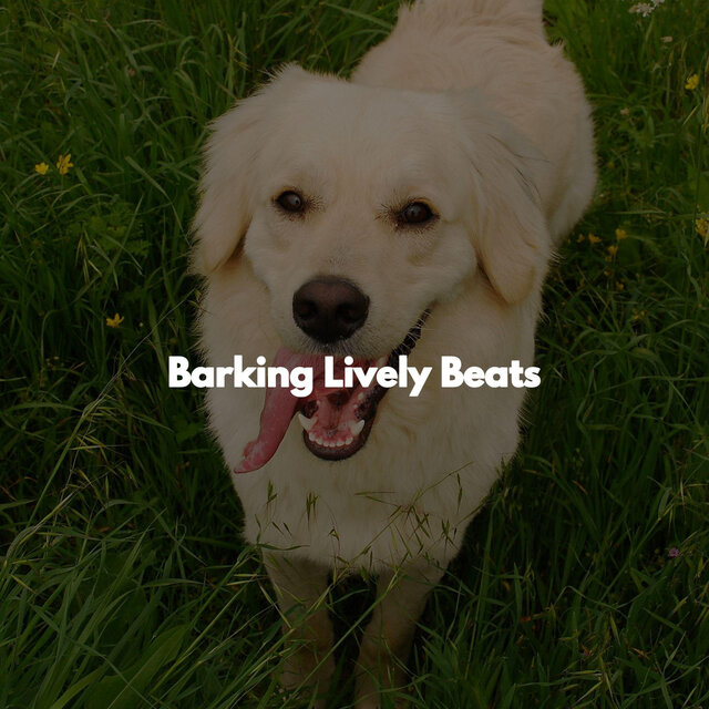 Barking Lively Beats