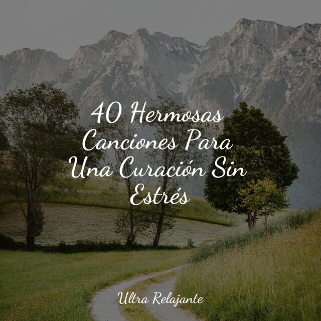 40 Hermosas Canciones Para Una Curación Sin Estrés