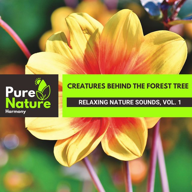 Creatures Behind the Forest Tree - Relaxing Nature Sounds, Vol. 1