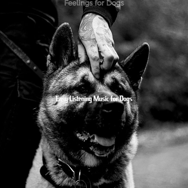 Feelings for Dogs