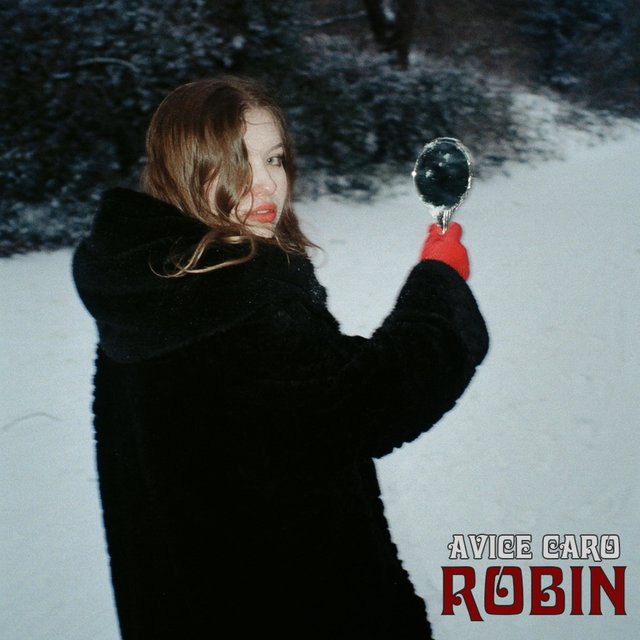 Robin