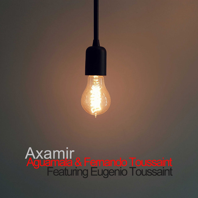 Axamir