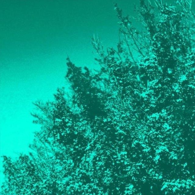 Binaural Meditations and Random Walking Tones