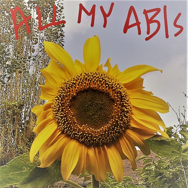 All My Abis