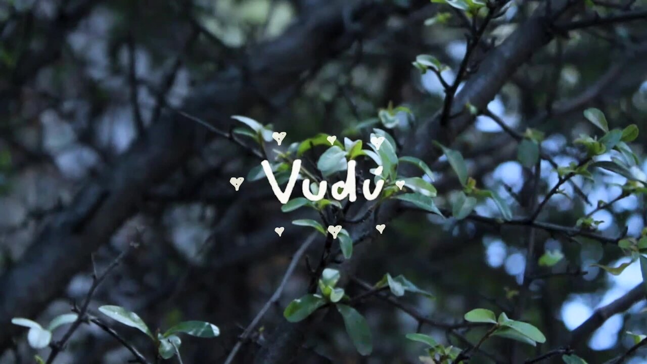 Vudú