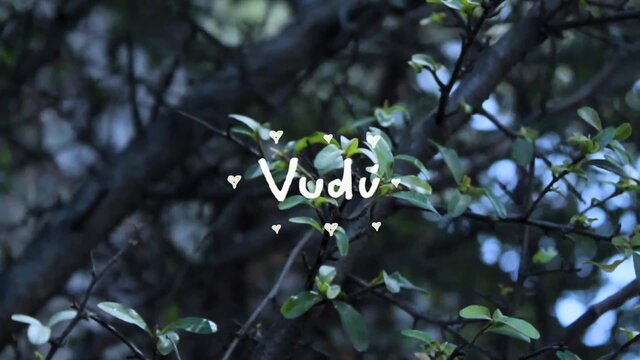 Vudú
