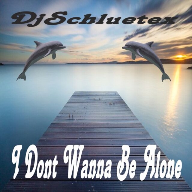 I Don't Wanna Be Alone
