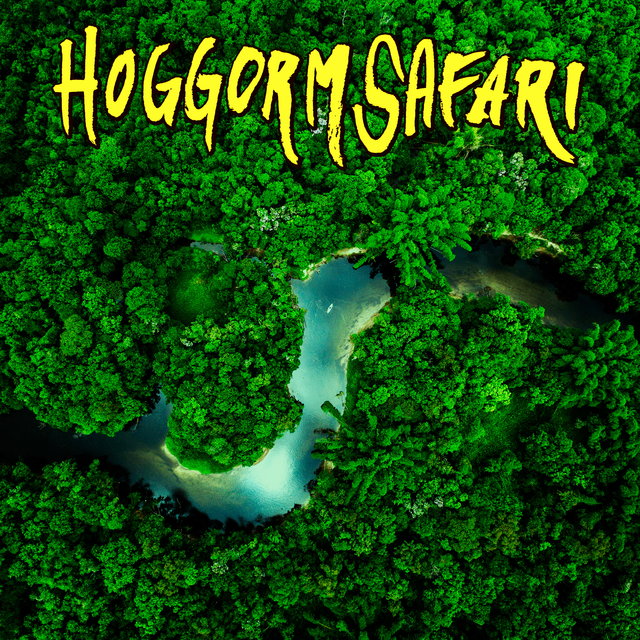 Hoggormsafari