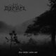 Cover art for album Naa skrider natten sort by Djevel