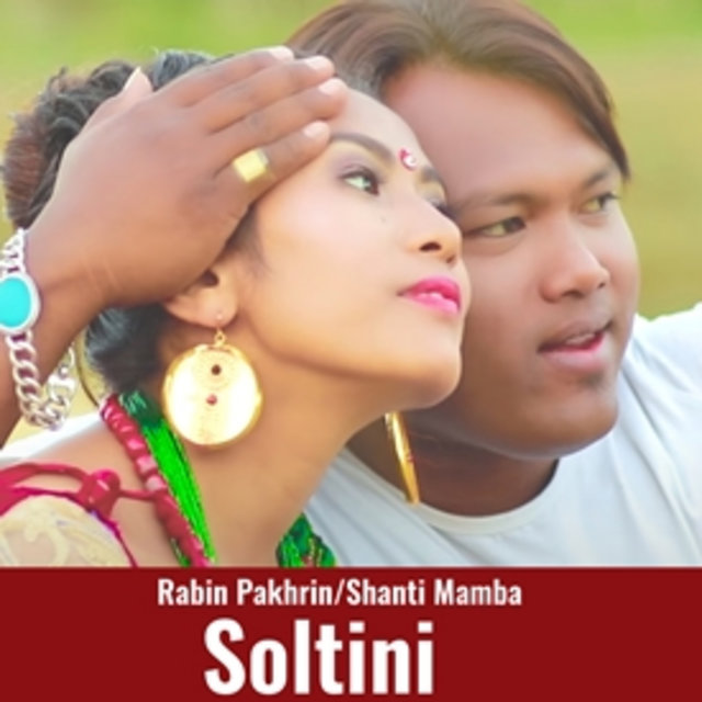 Soltini