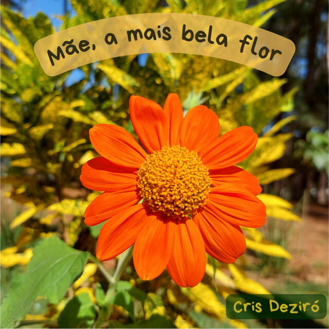 Mãe, a Mais Bela Flor