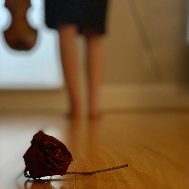 The Lover's Iota