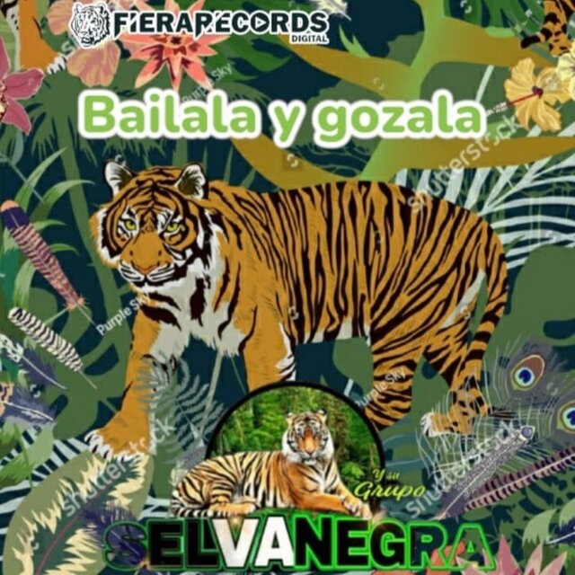 Bailala Y Gózala (Live)