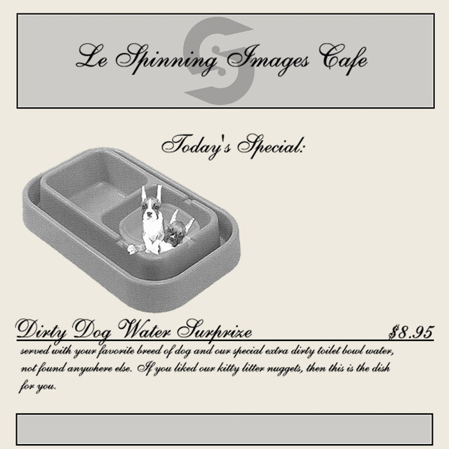 Dirty Dog Water Surprise