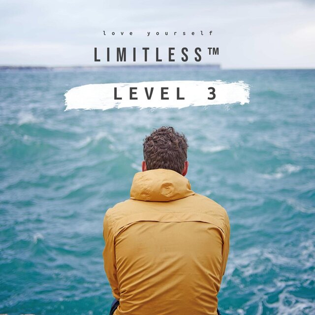 Level 3