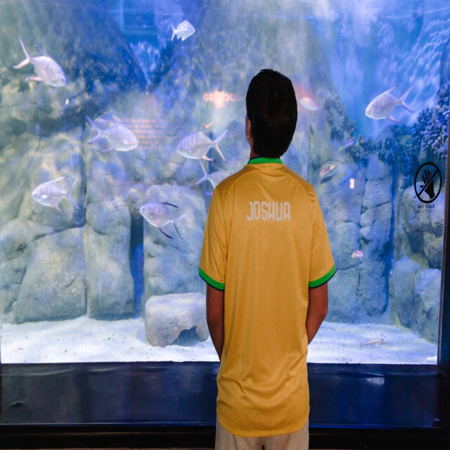 Real experience