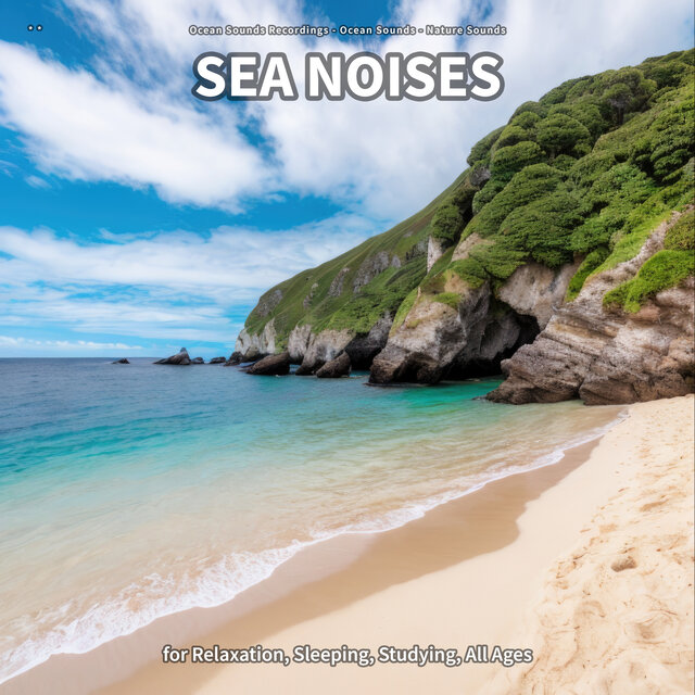 * * Sea Noises for Relaxation, Sleeping, Studying, All Ages