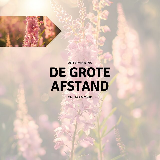De Grote Afstand