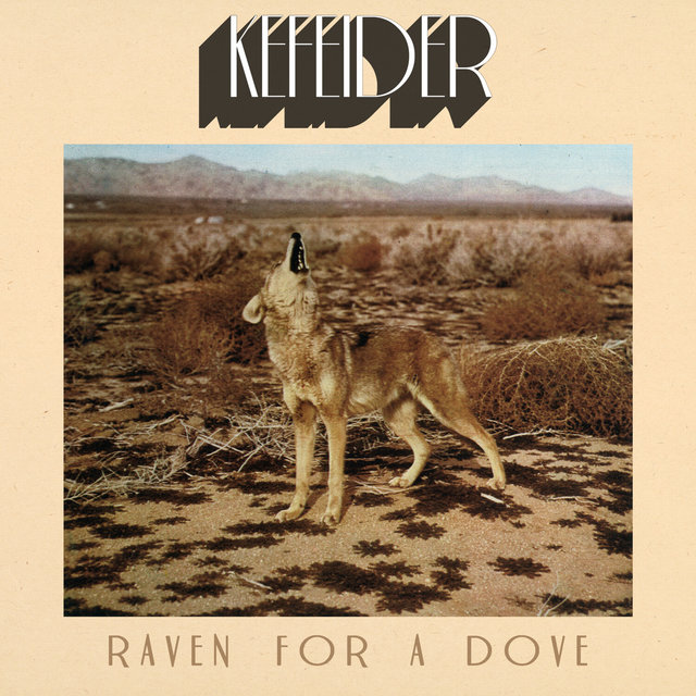 Raven for a Dove