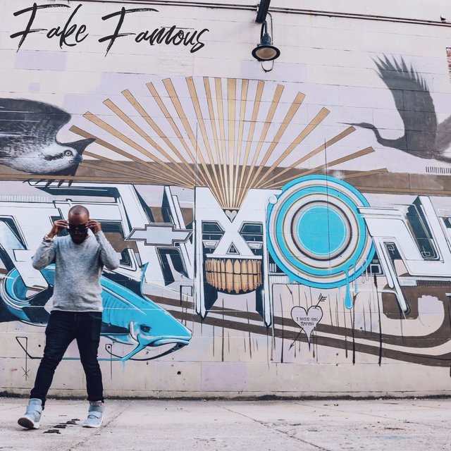 Fake Famous