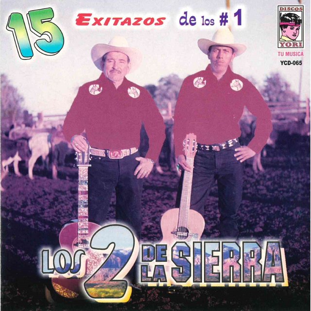15 Exitazos de Los Numero Uno