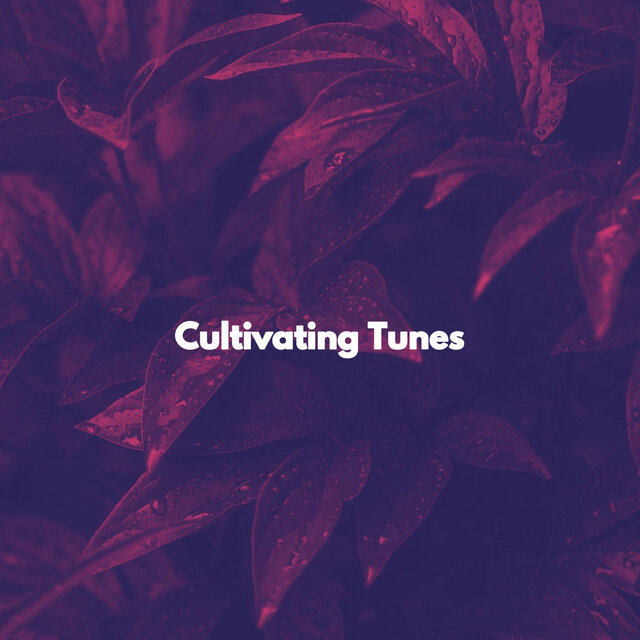 Cultivating Tunes