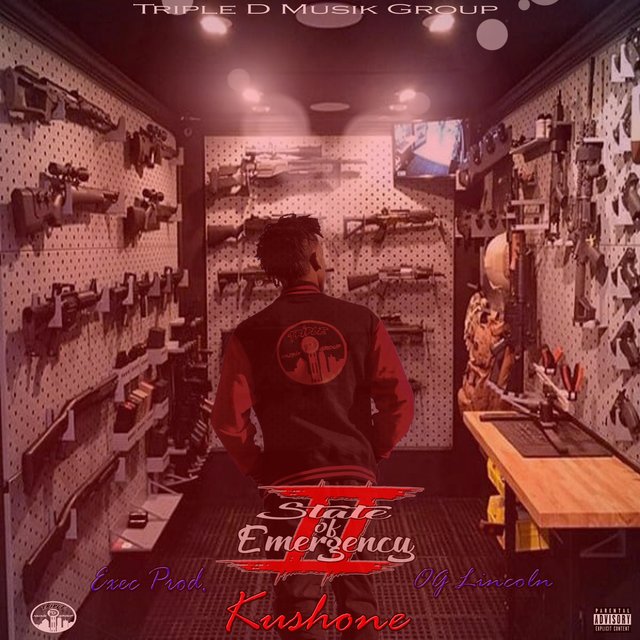 State of Emergency 2