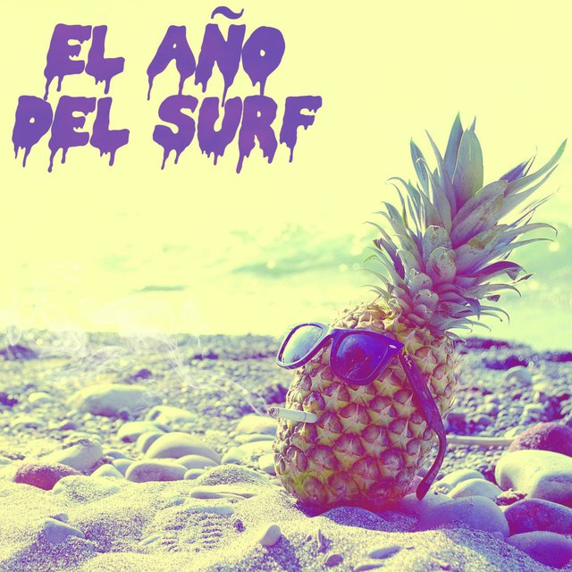 El Año Del Surf