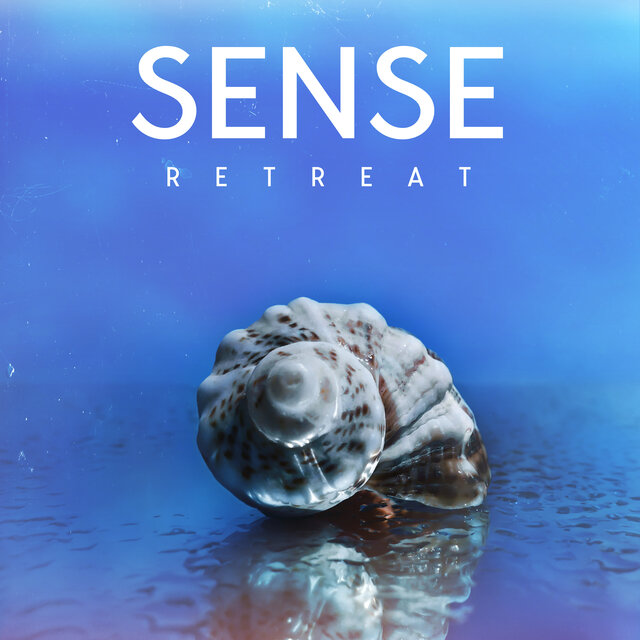 Sense Retreat: Mastering the Art of Inner Stillness