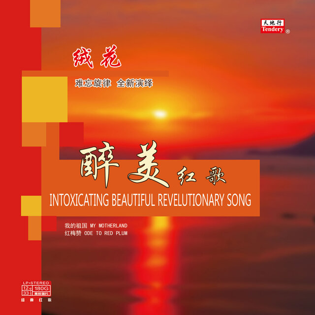 绒花 (音乐中国)