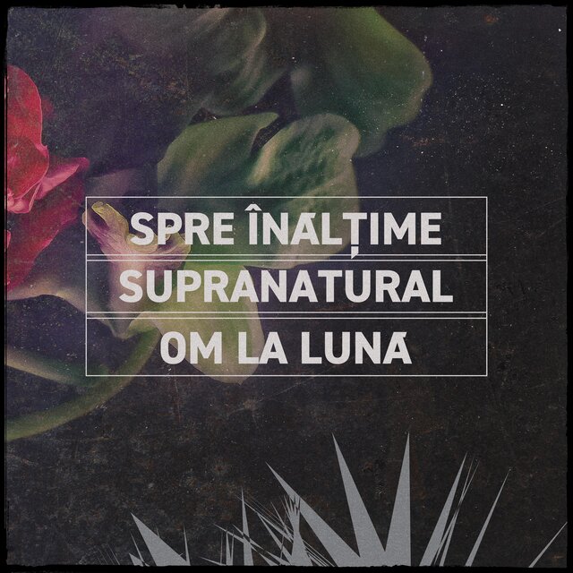 Spre înălțime b/w Supranatural