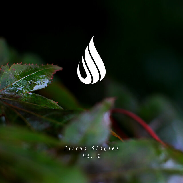 Cirrus Singles Pt. 1