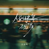 人到中年不容易 (DJ默涵版伴奏)