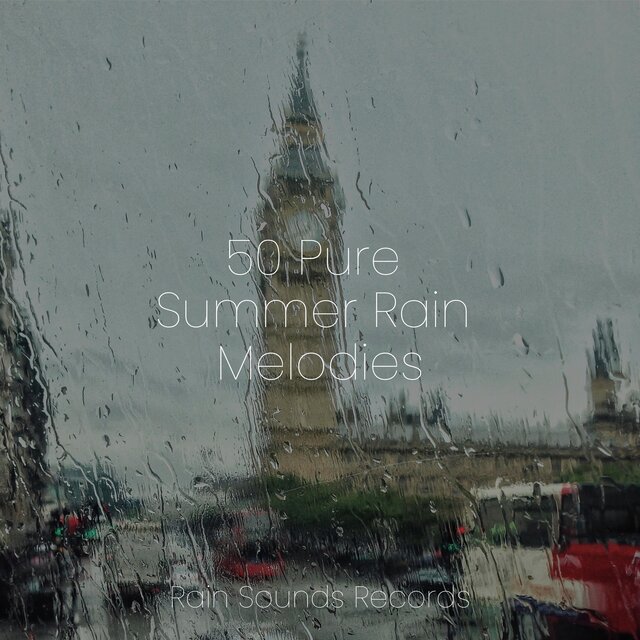 50 Pure Summer Rain Melodies
