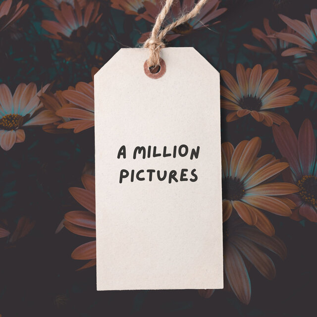 A Million Pictures
