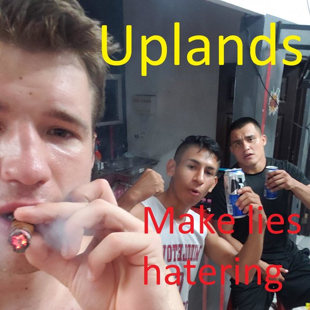 Make Lies Hatering