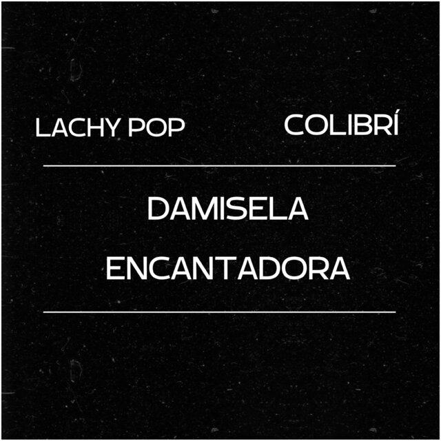 Damisela Encantadora