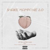 Shake Mampone (feat. Thus Khass, Mricho Kvy &Flex Bee)  (2.0)